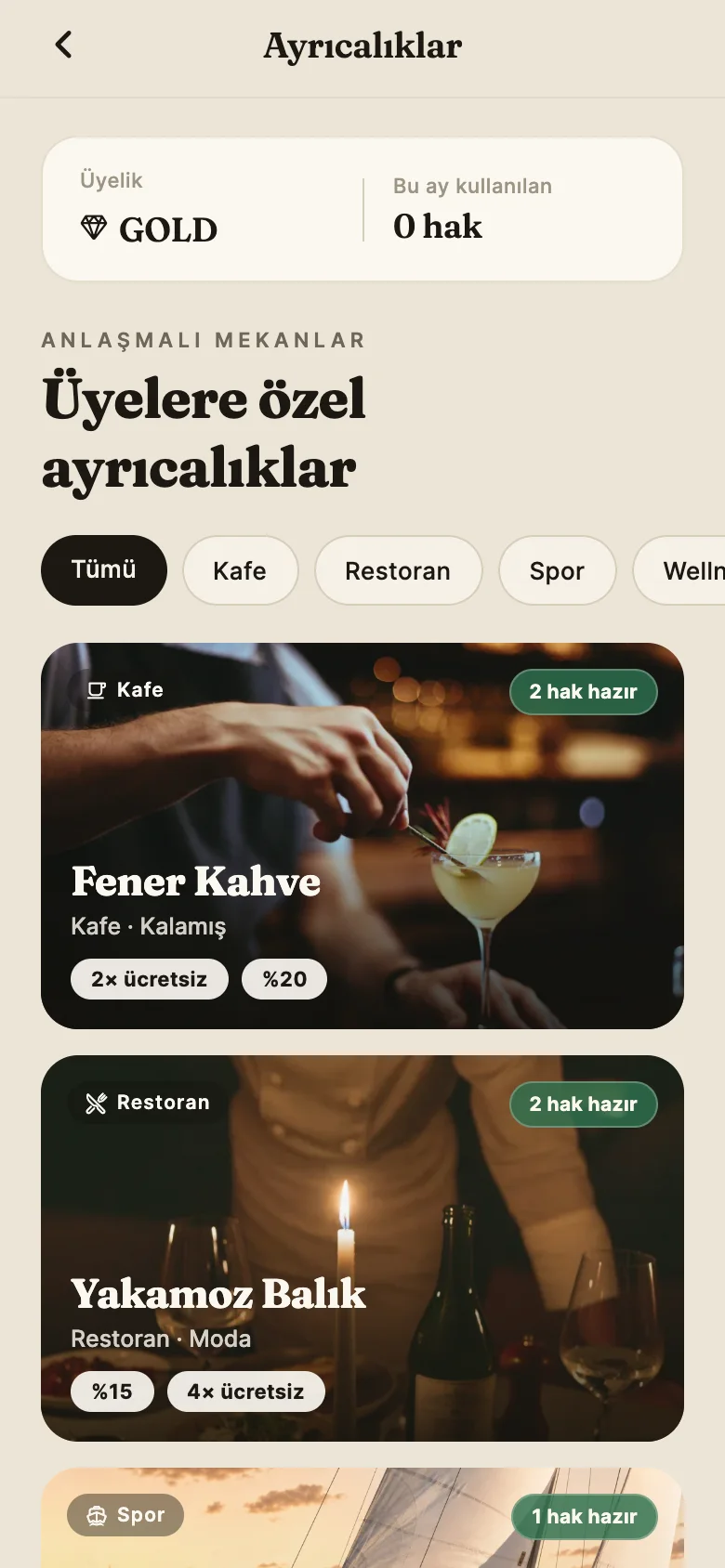 Ayrıcalıklar ekranı